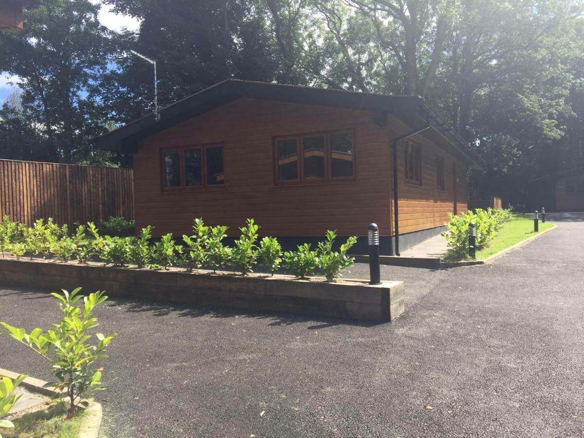 קונגלטון Shellow Lane Lodges מראה חיצוני תמונה